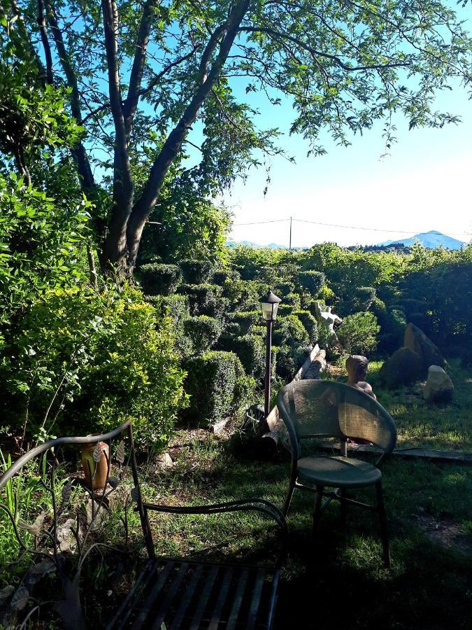Palu Bed & Breakfast